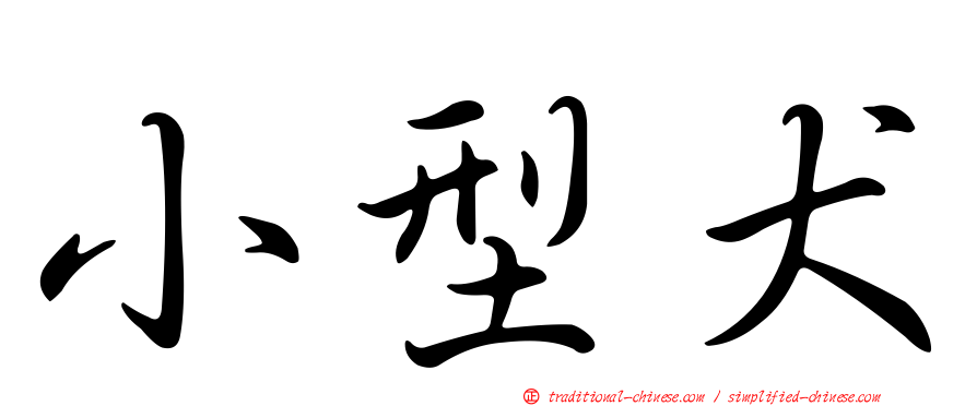 小型犬