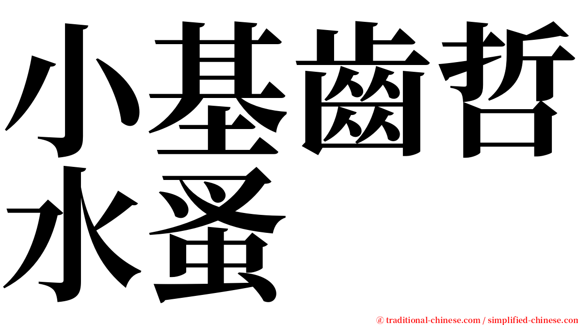 小基齒哲水蚤 serif font