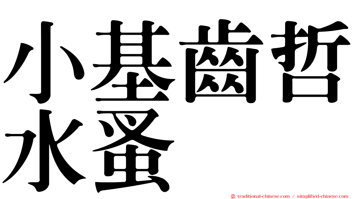 小基齒哲水蚤