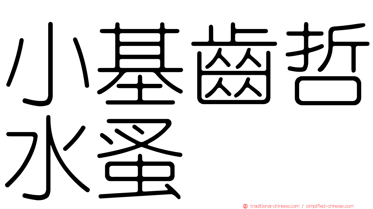 小基齒哲水蚤