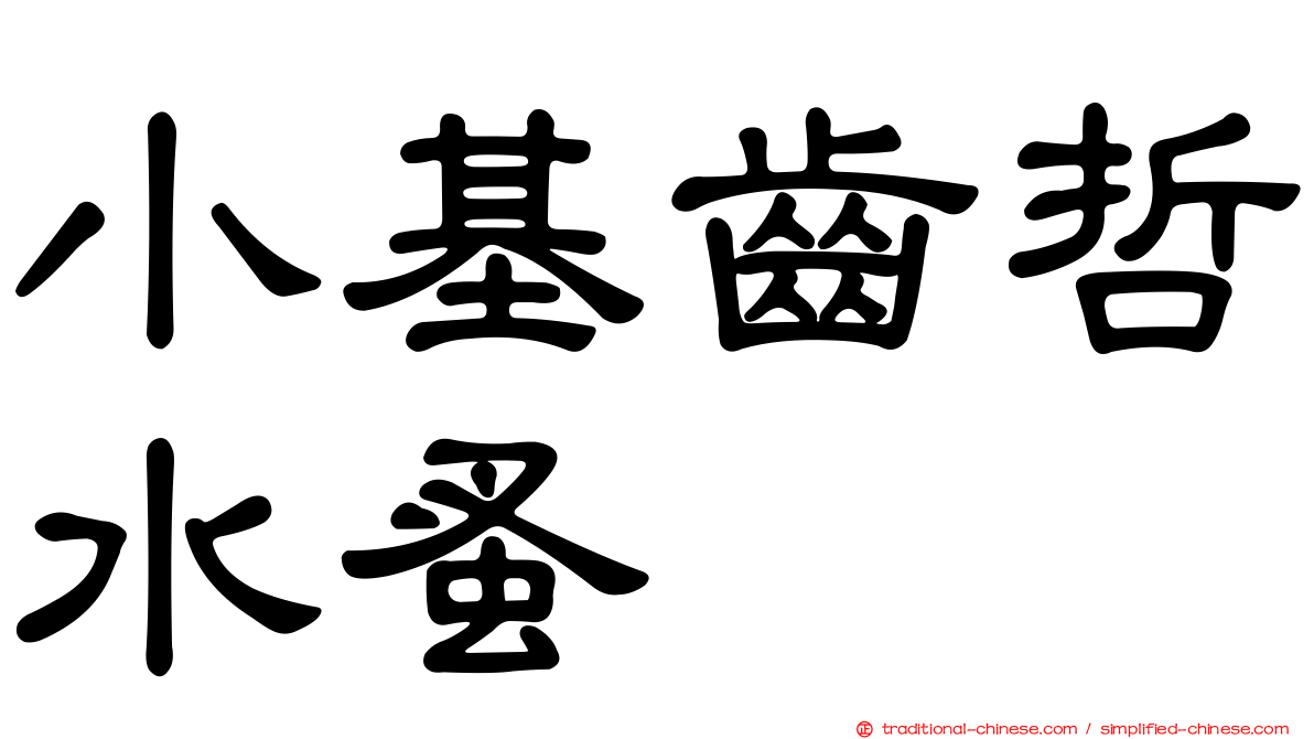 小基齒哲水蚤
