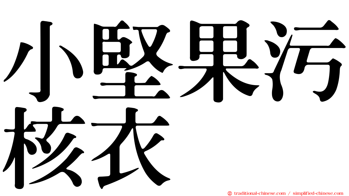 小堅果污核衣