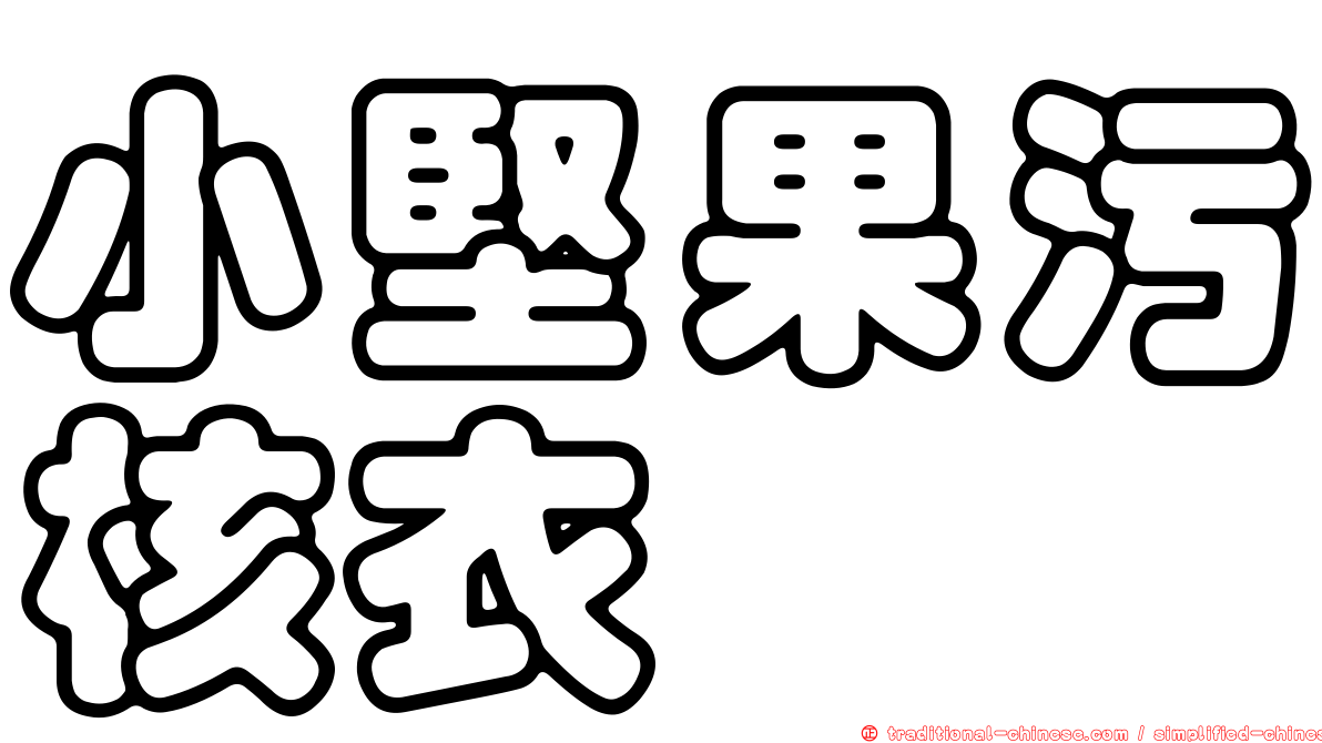 小堅果污核衣