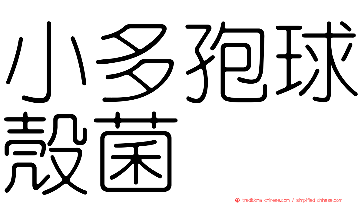 小多孢球殼菌