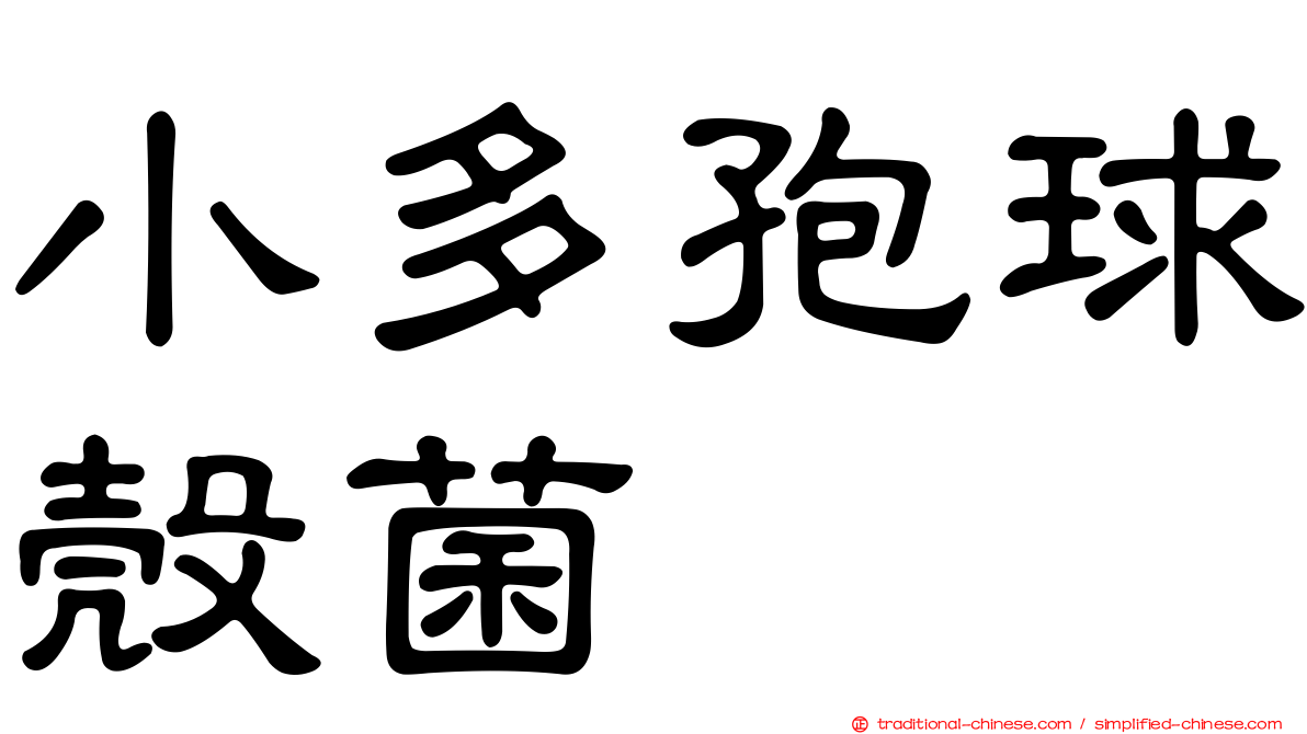 小多孢球殼菌