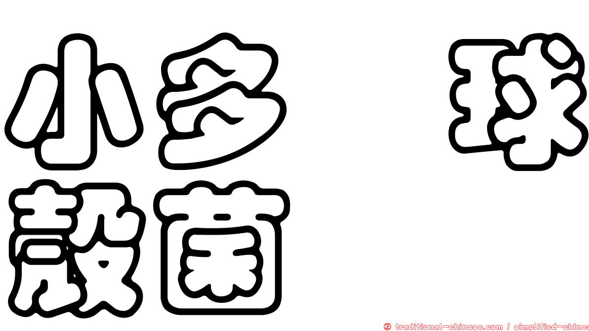 小多孢球殼菌