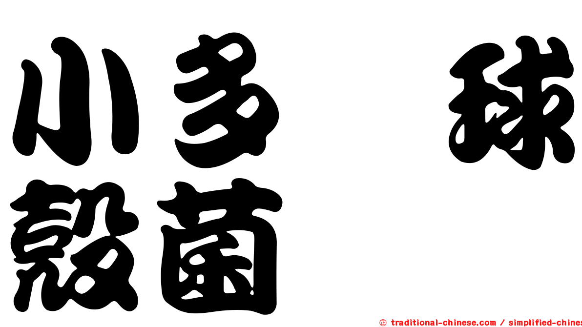 小多孢球殼菌