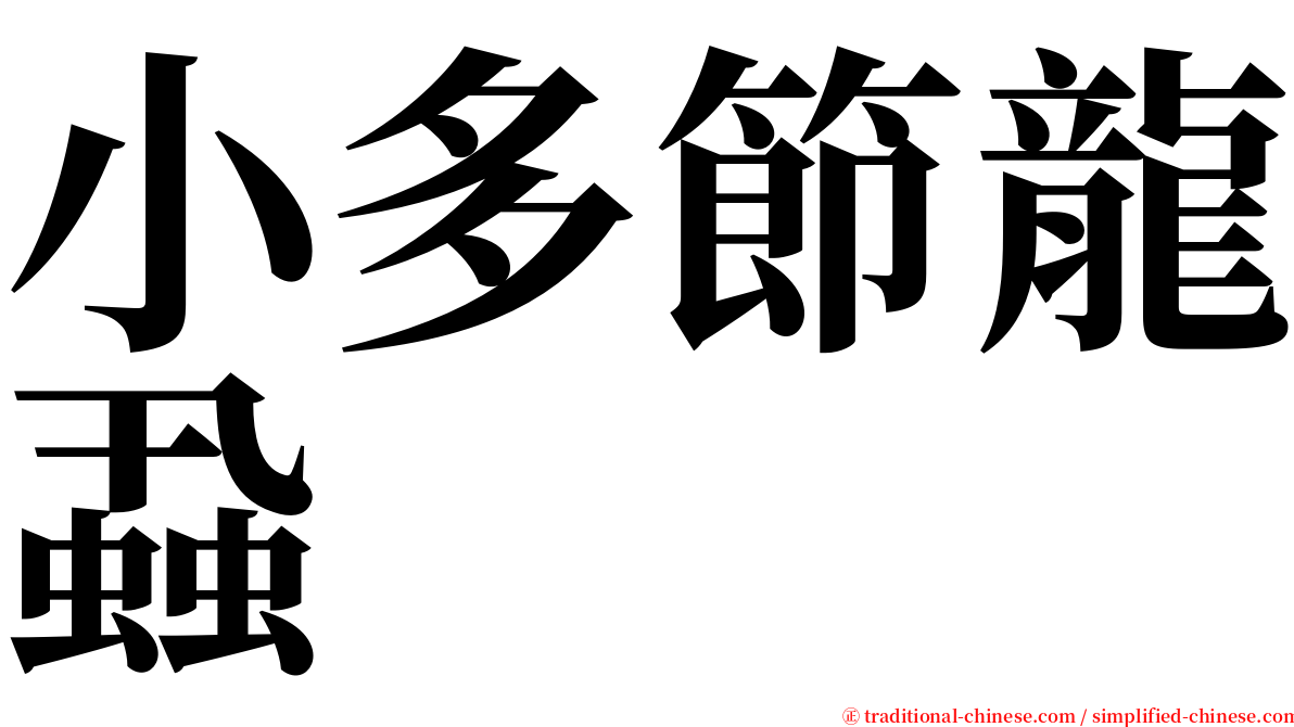 小多節龍蝨 serif font