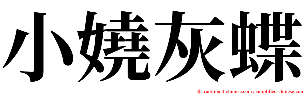 小嬈灰蝶 serif font