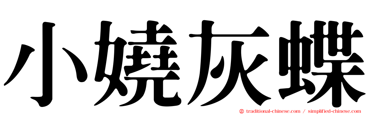 小嬈灰蝶