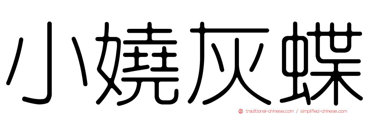 小嬈灰蝶