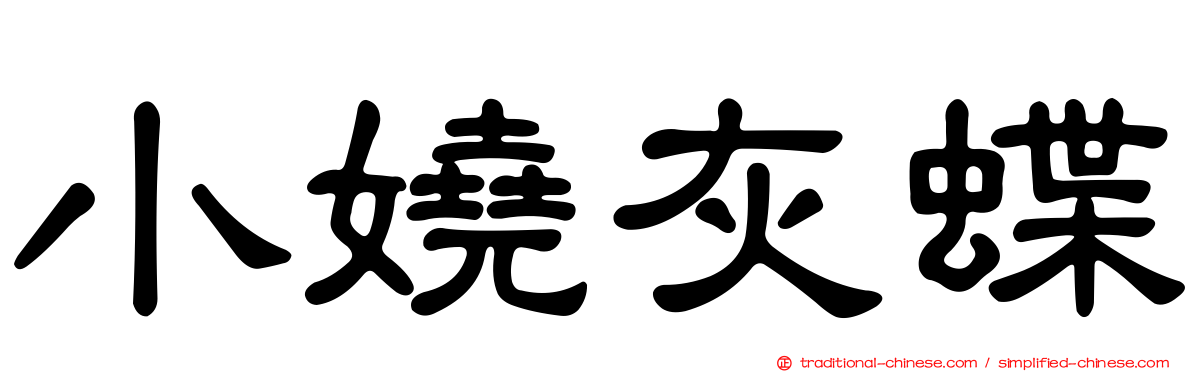 小嬈灰蝶