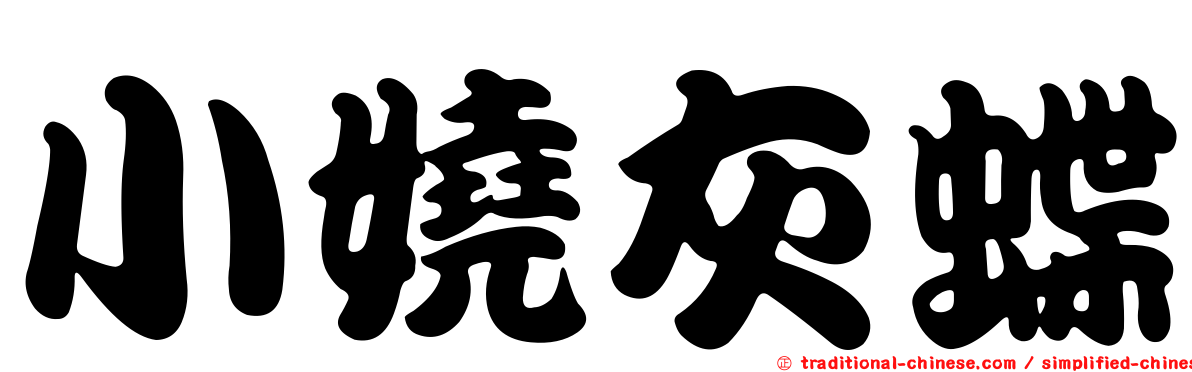 小嬈灰蝶