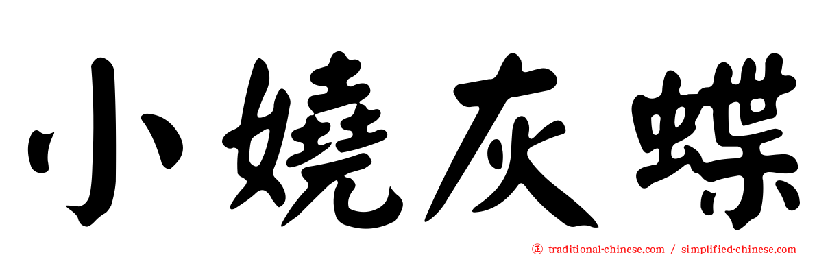 小嬈灰蝶