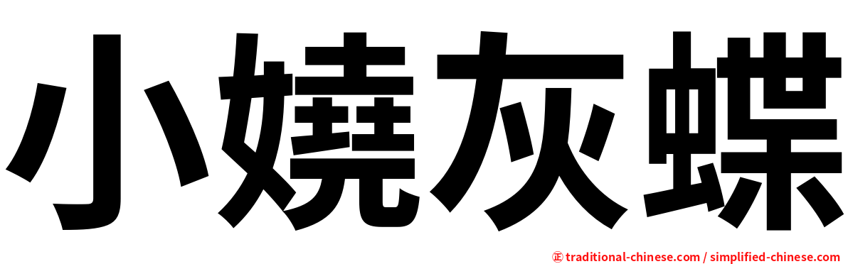 小嬈灰蝶