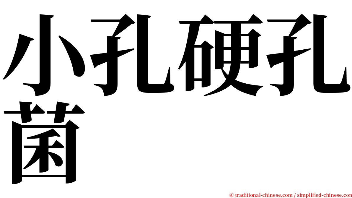 小孔硬孔菌 serif font