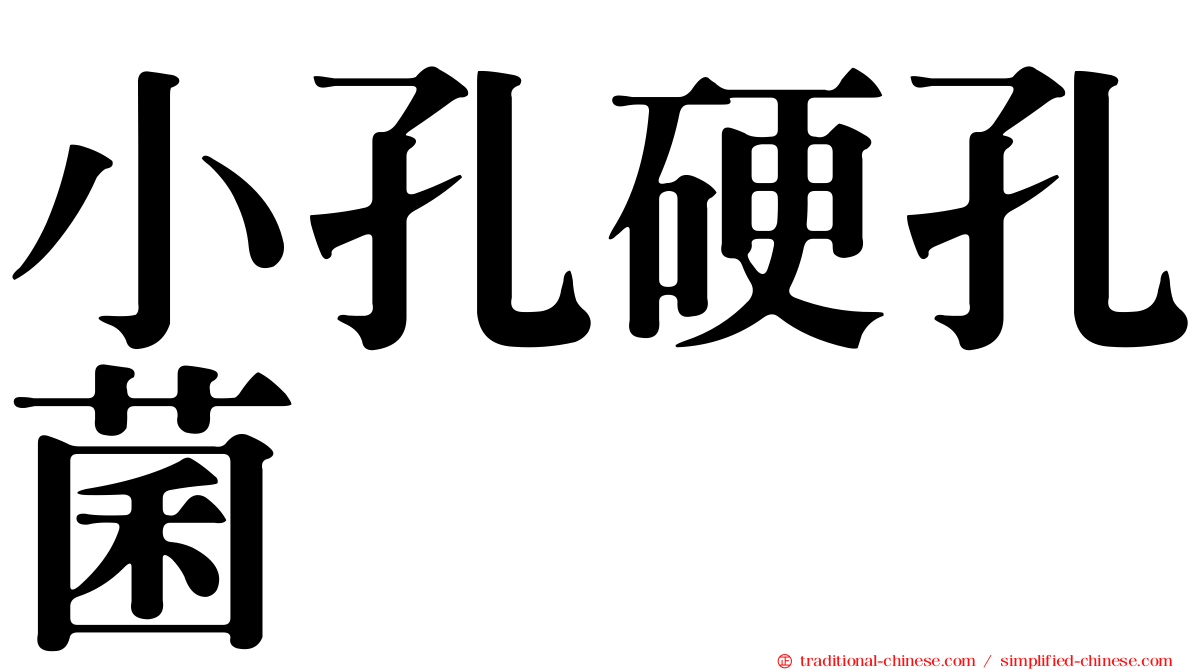 小孔硬孔菌
