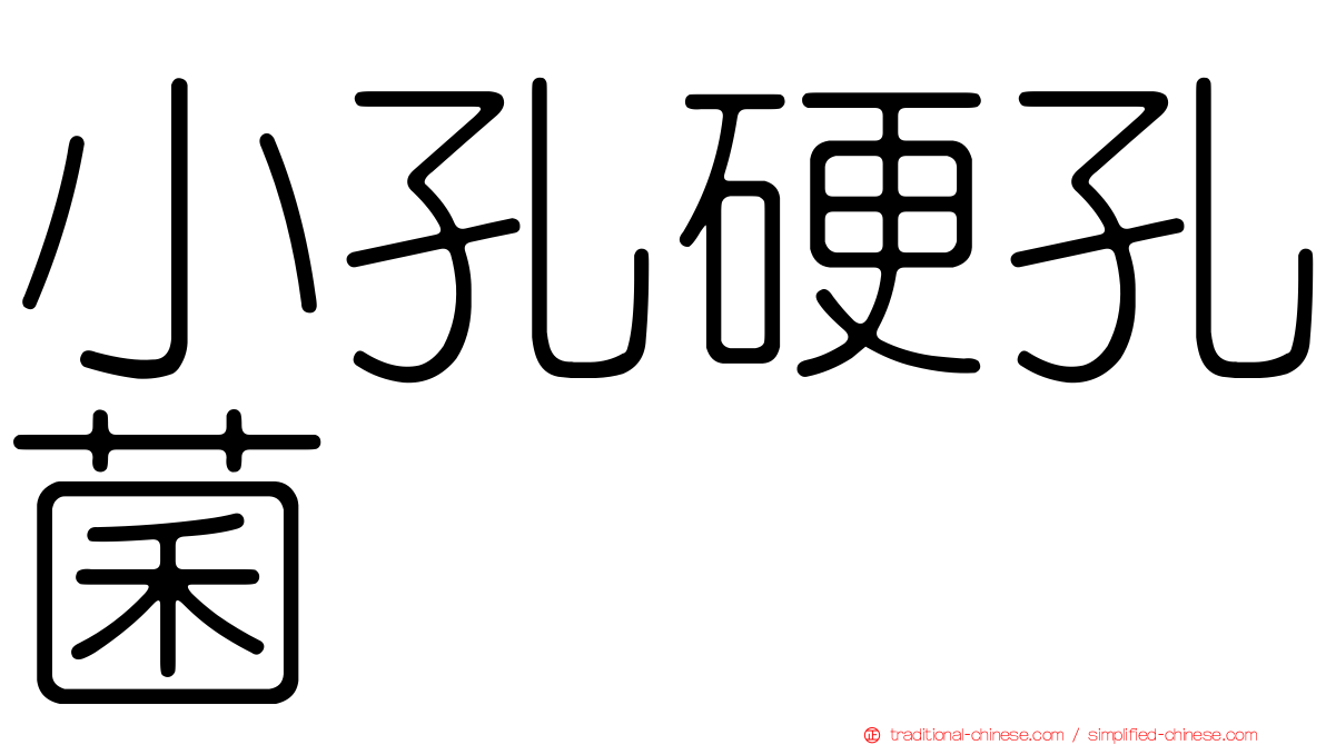 小孔硬孔菌