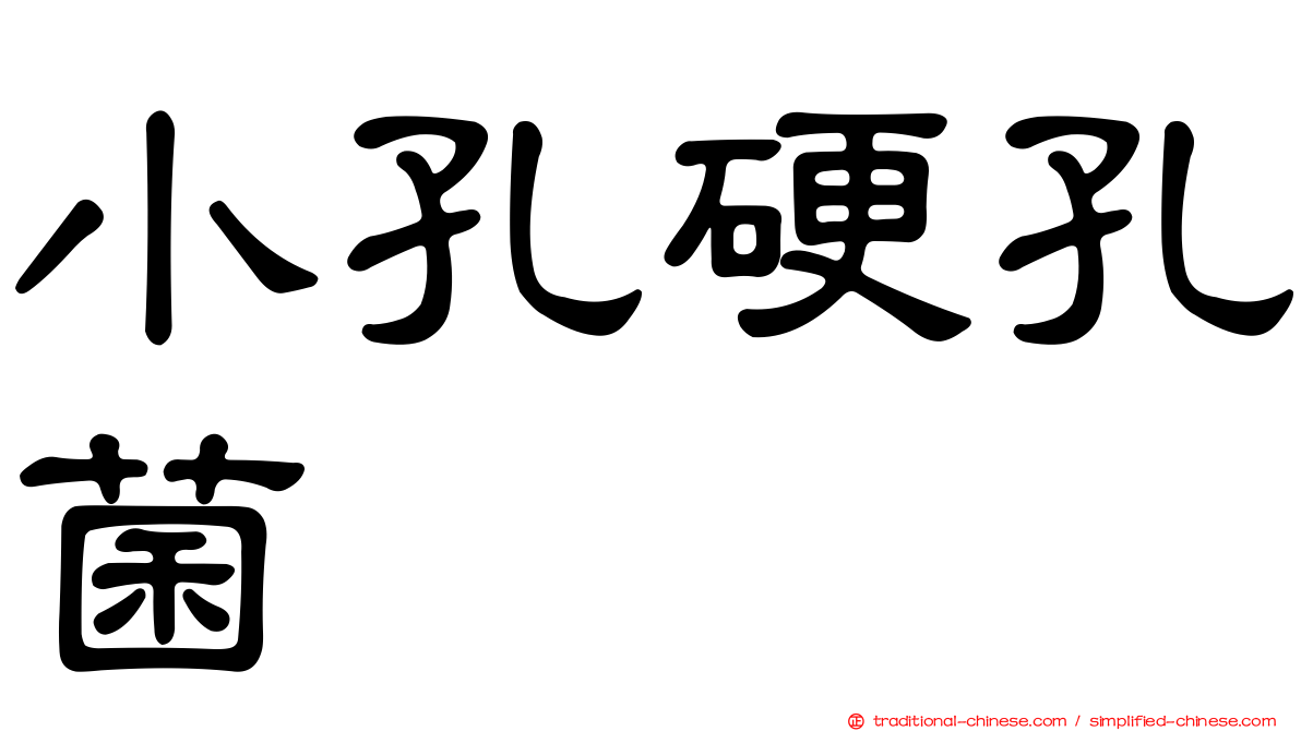 小孔硬孔菌