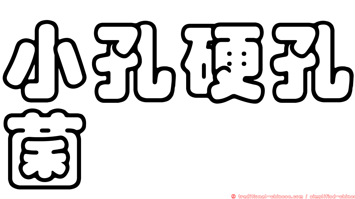 小孔硬孔菌