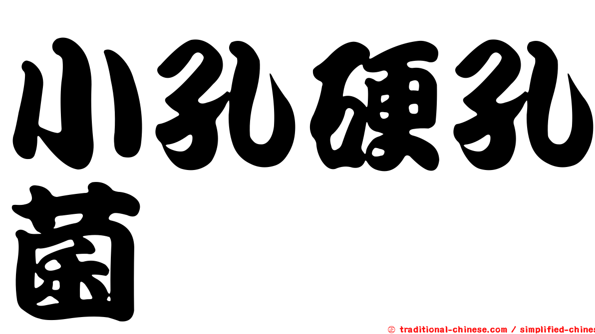 小孔硬孔菌