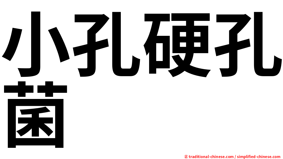 小孔硬孔菌