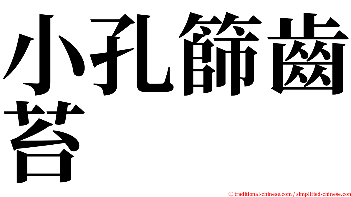 小孔篩齒苔 serif font