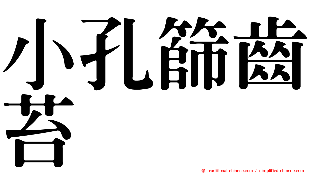 小孔篩齒苔
