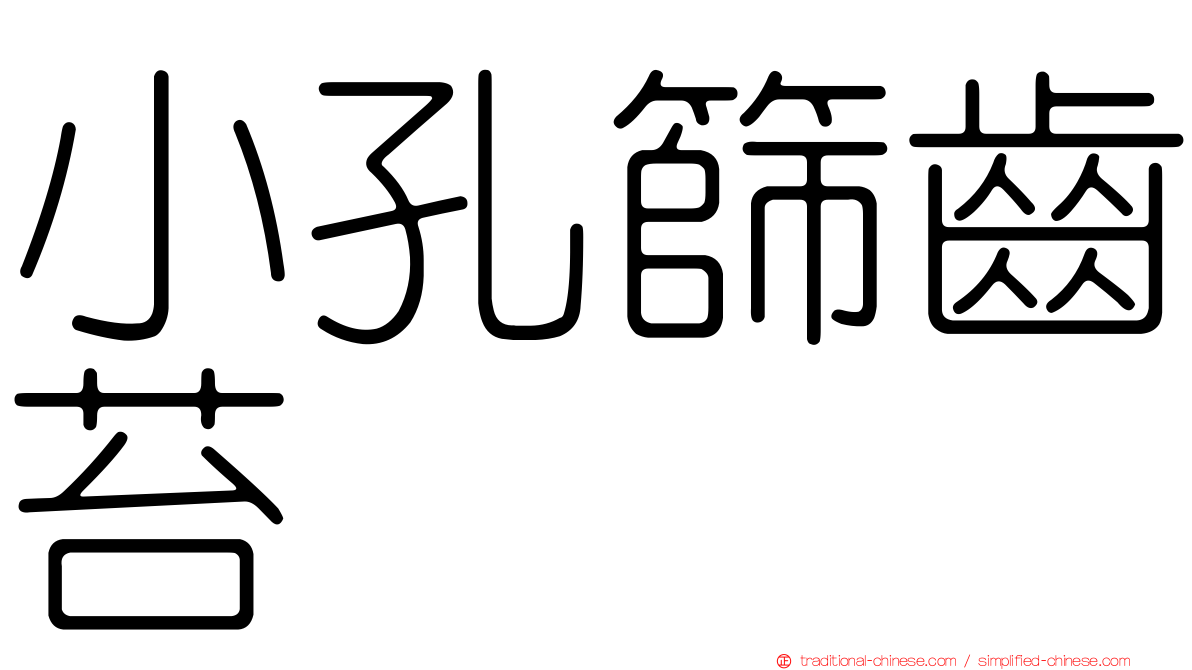 小孔篩齒苔