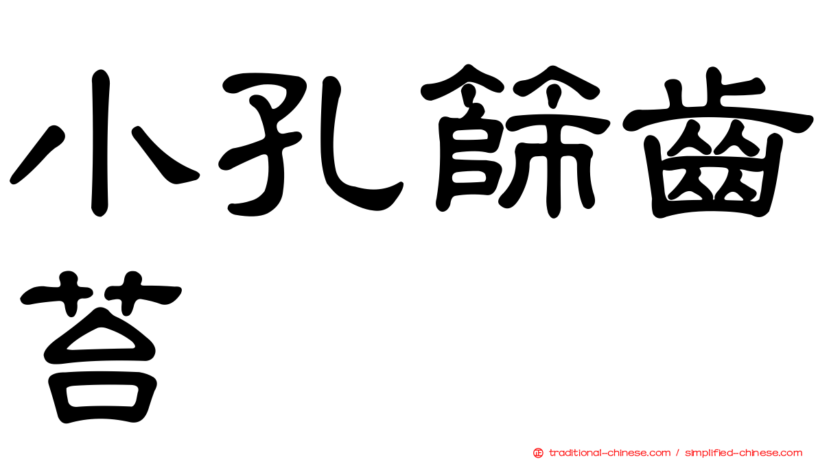 小孔篩齒苔
