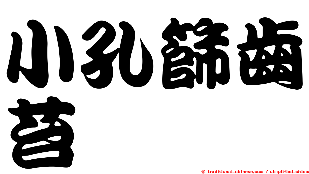 小孔篩齒苔