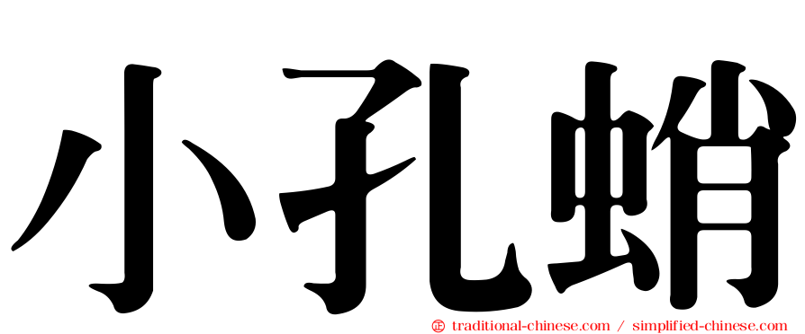 小孔蛸