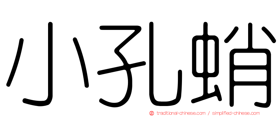 小孔蛸