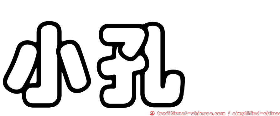 小孔蛸