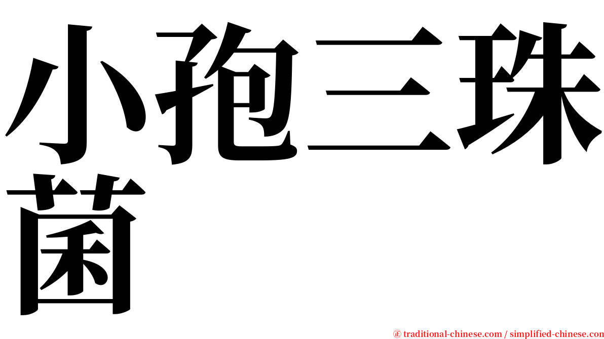 小孢三珠菌 serif font