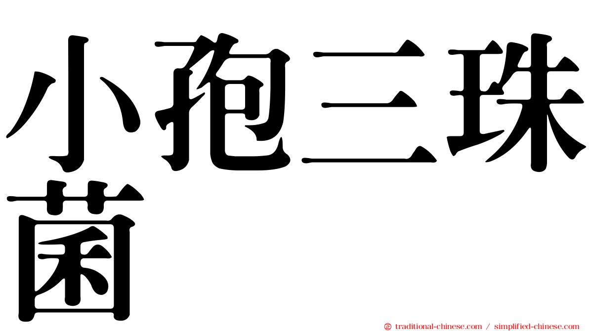 小孢三珠菌
