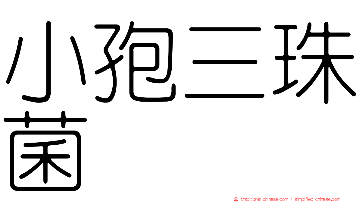 小孢三珠菌
