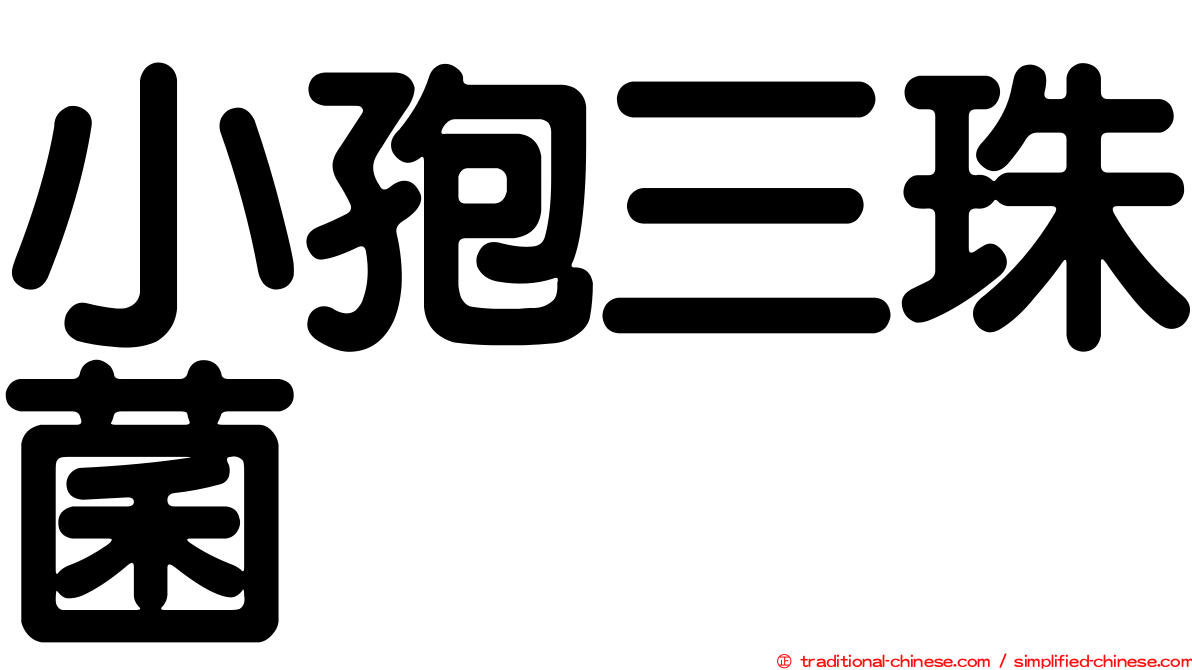 小孢三珠菌