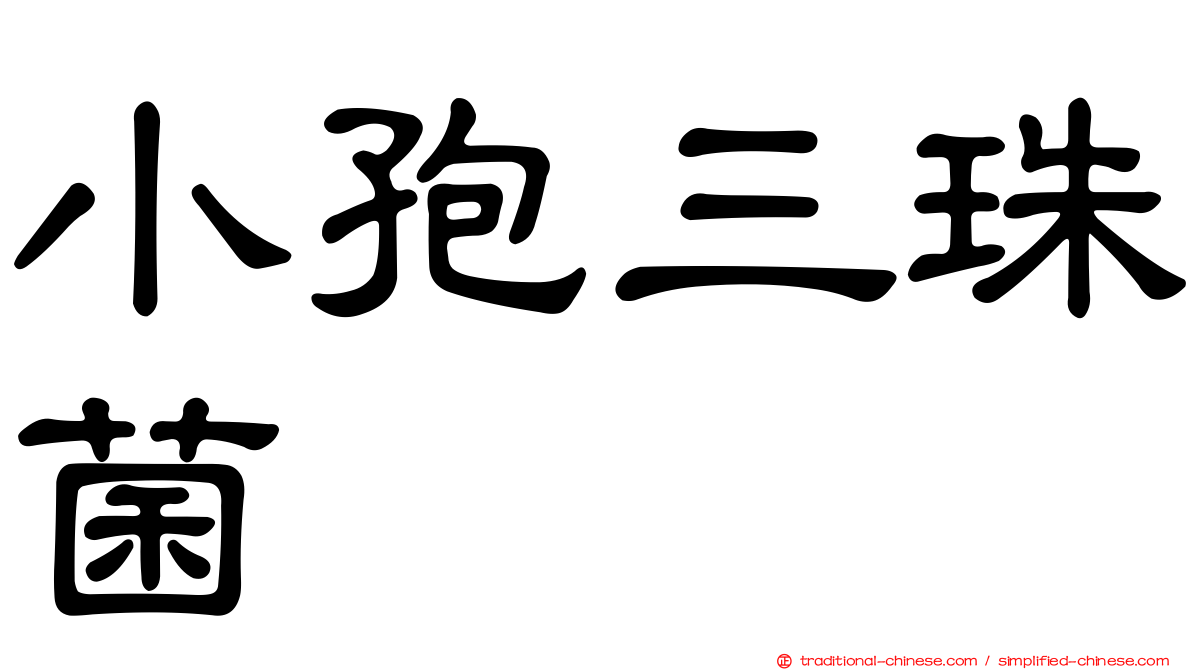 小孢三珠菌