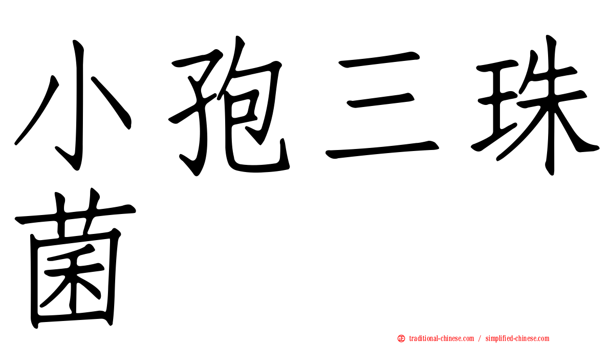 小孢三珠菌