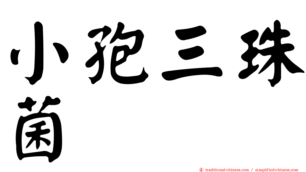 小孢三珠菌