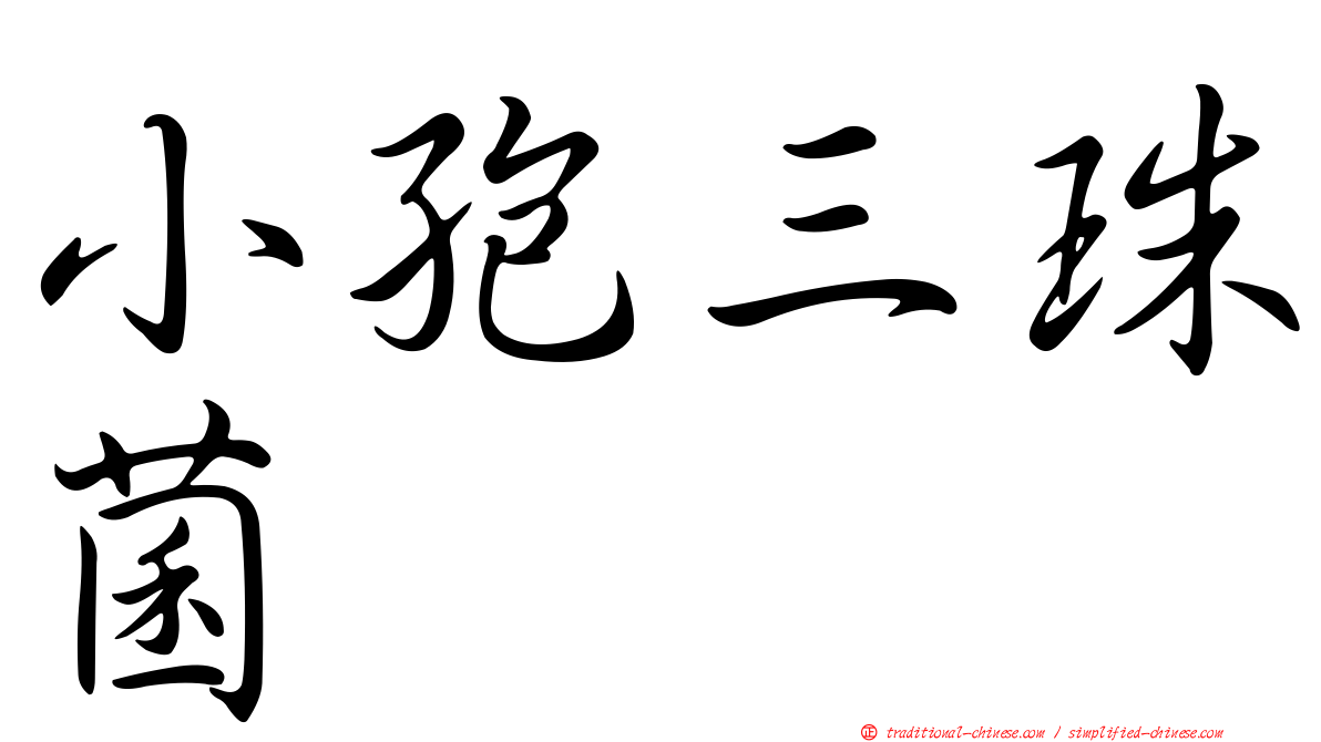 小孢三珠菌