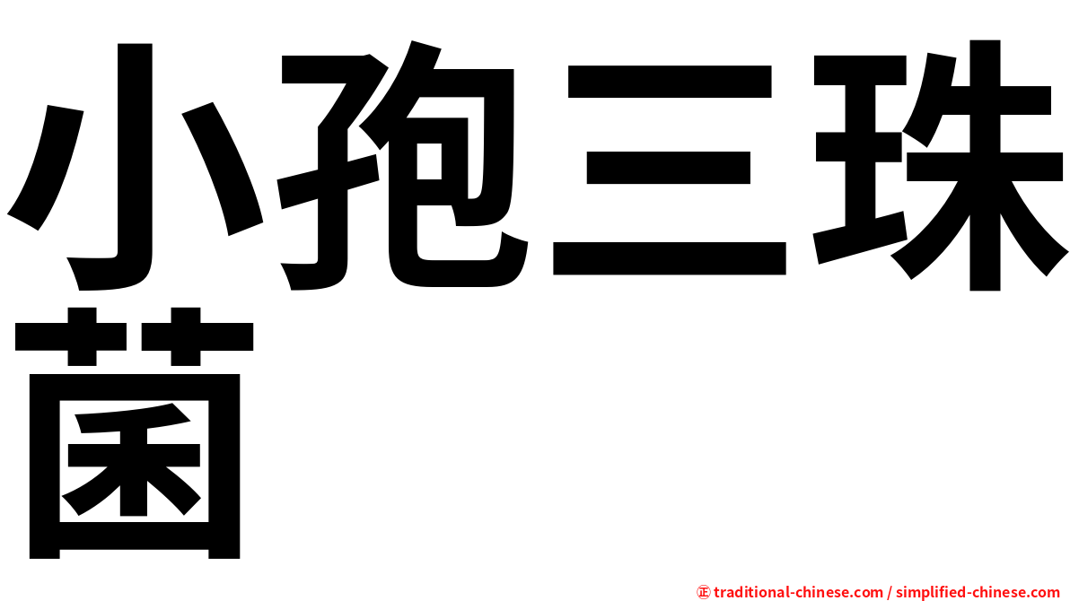 小孢三珠菌