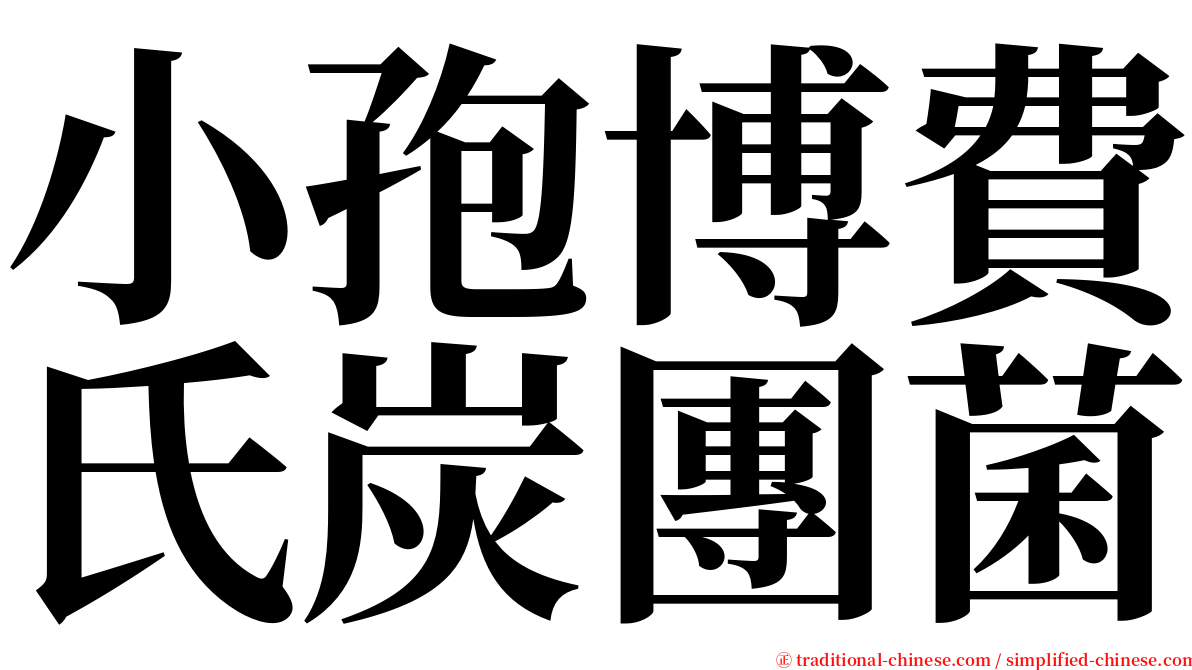 小孢博費氏炭團菌 serif font