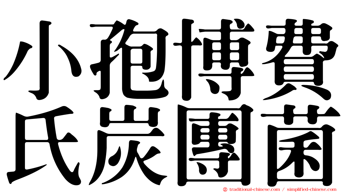 小孢博費氏炭團菌