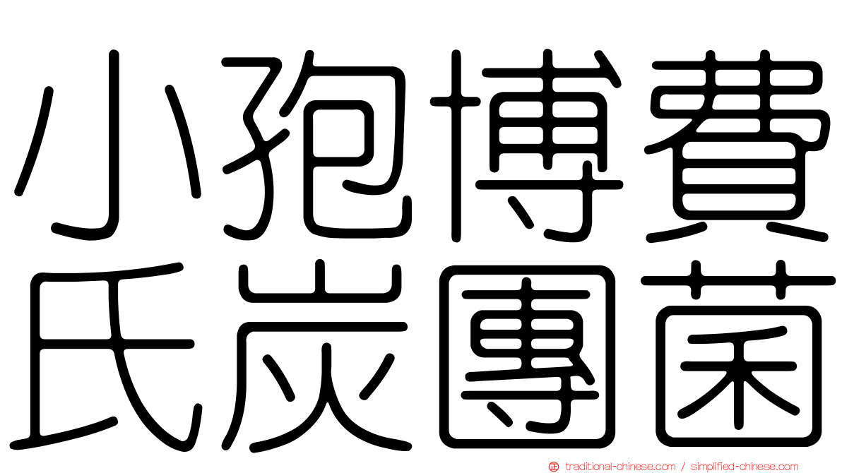 小孢博費氏炭團菌