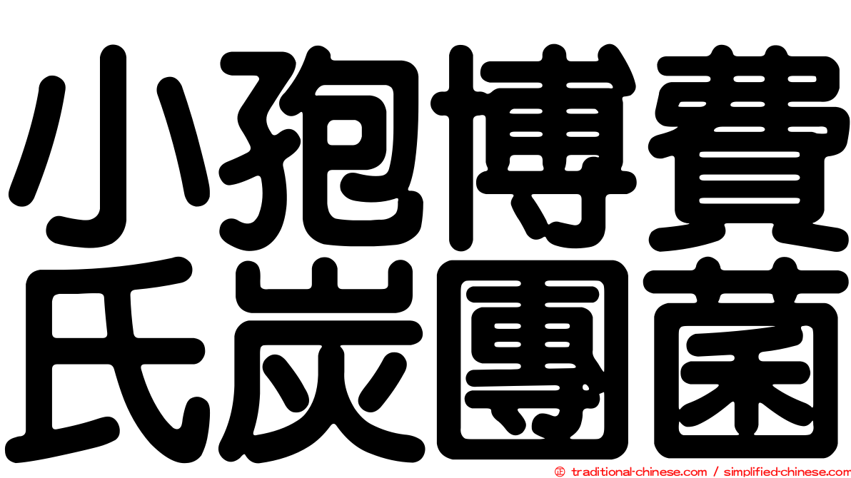 小孢博費氏炭團菌