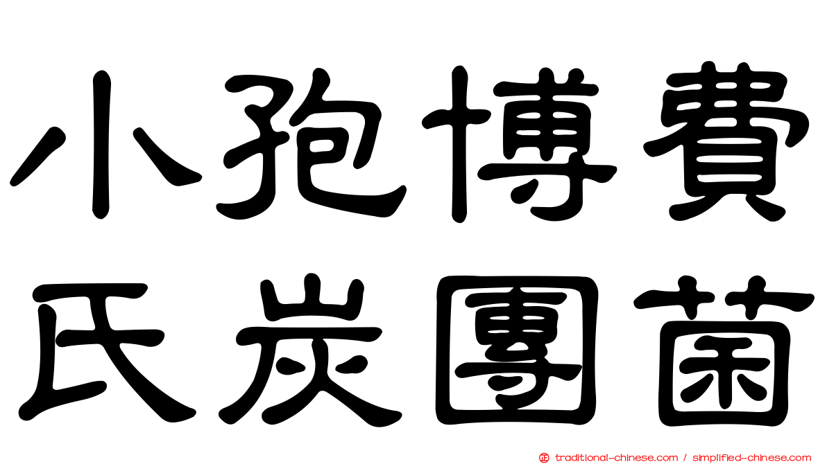 小孢博費氏炭團菌