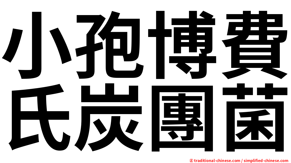 小孢博費氏炭團菌