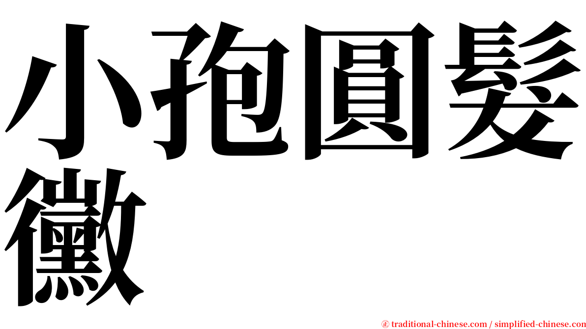 小孢圓髮黴 serif font